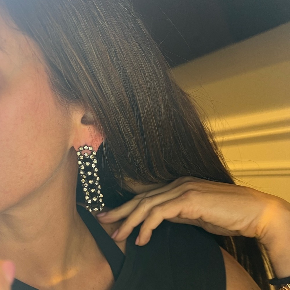 Lia Sophia Black and Silver Crystal Earrings